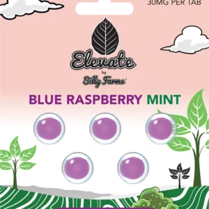 Elevate by Silly Farms Blue Raspberry Mint mushroom tabs package with 500mg per tab and purple blister pack