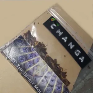 What is Changa informational product image