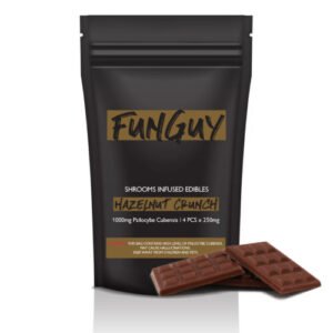 FunGuy Mushroom Chocolate Bar | Mushroom Chocolate Bar